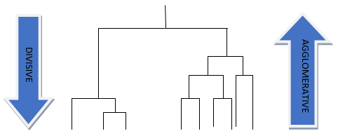 Agglomerative vs. Divisive Approaches