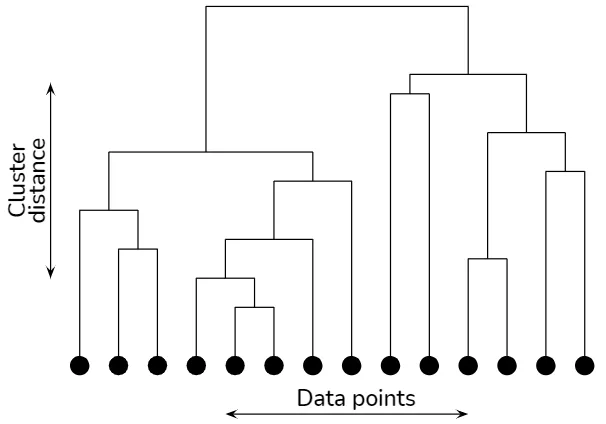 Dendrogram