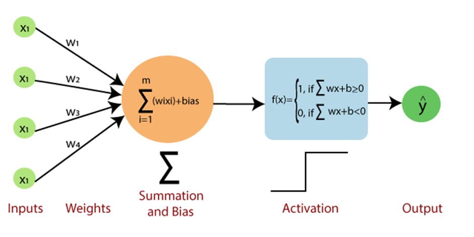 Perceptron components