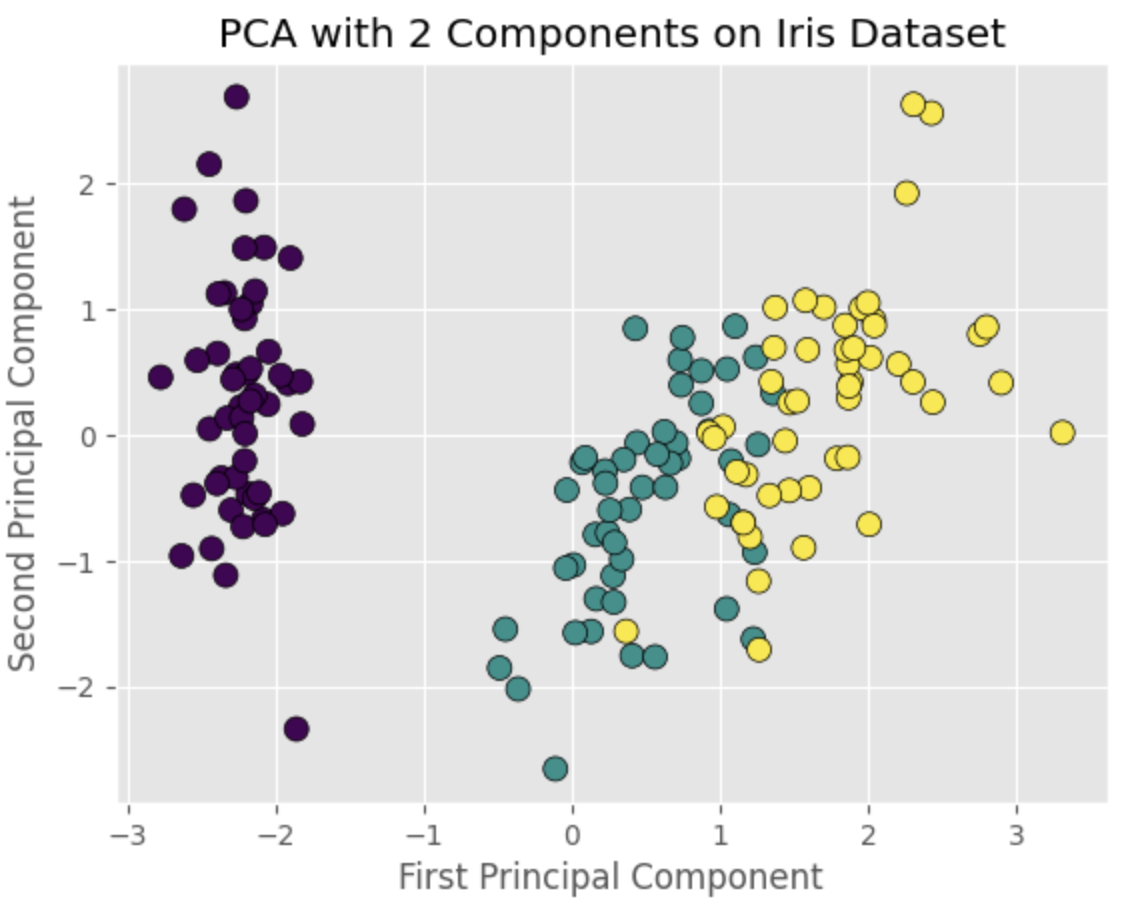 PCA with 2 Components on Iris Dataset