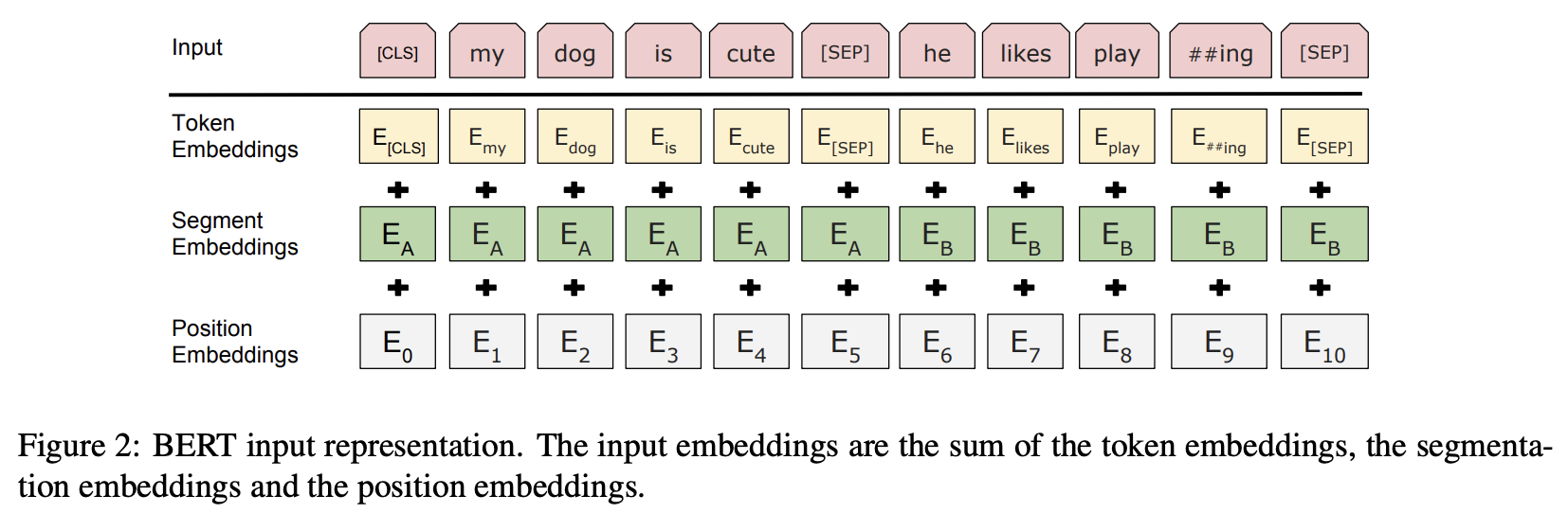 BERT input representation