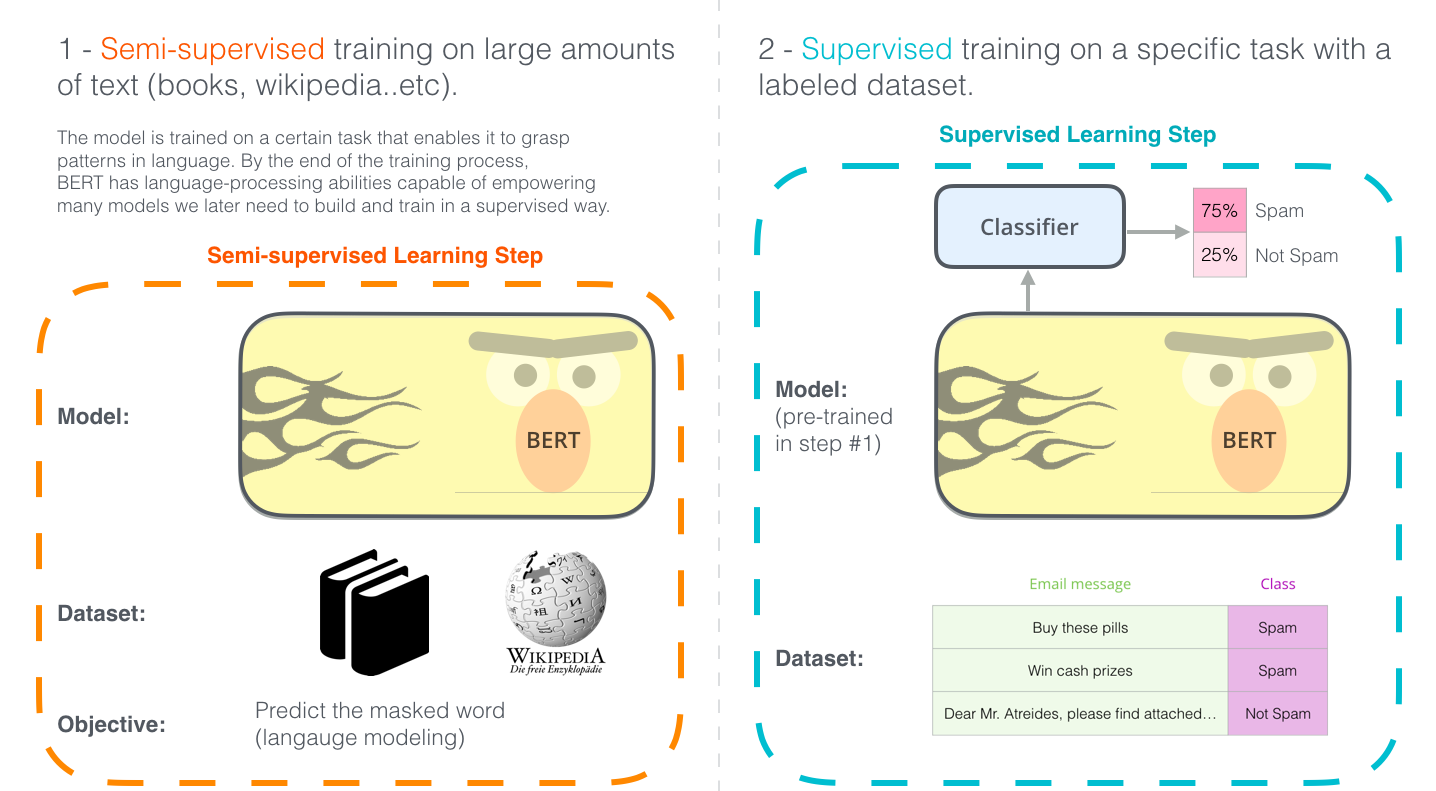 BERT transfer learning